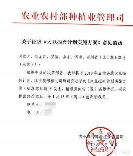 19年大豆價格會漲嗎？