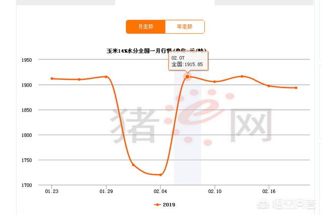 为什么有些地区的玉米价格开年走高?