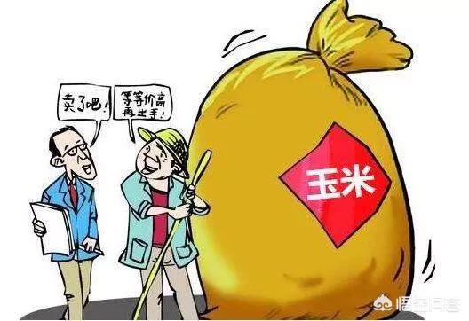 玉米何时能涨价？