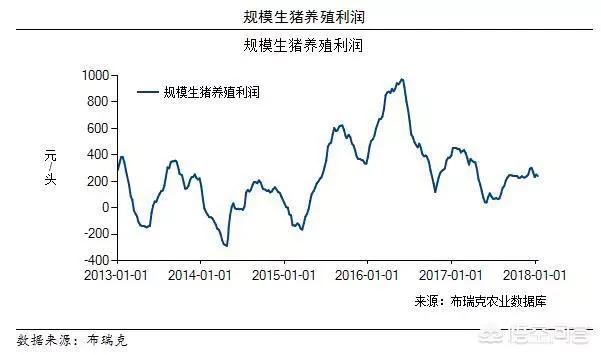 2019年養(yǎng)豬還能賺錢嗎？