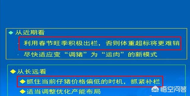 2019是豬年，小散戶養(yǎng)豬還能抱到“金豬”嗎？