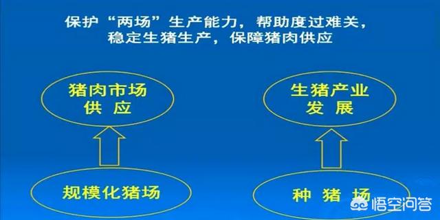 2019是豬年，小散戶養(yǎng)豬還能抱到“金豬”嗎？