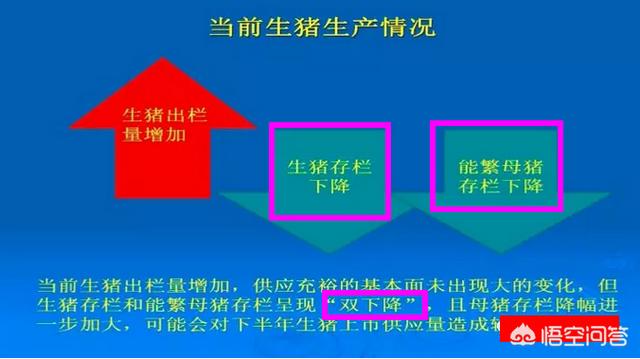 2019是豬年，小散戶養(yǎng)豬還能抱到“金豬”嗎？