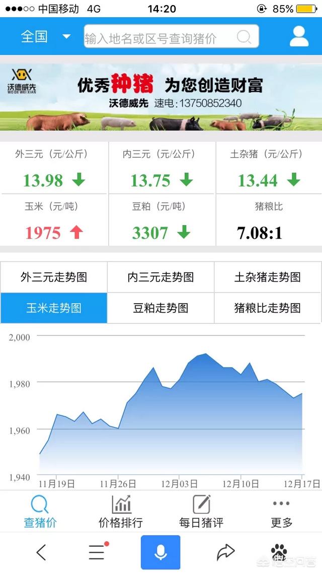 玉米價格在18年年底前能達到1.3元每斤嗎？