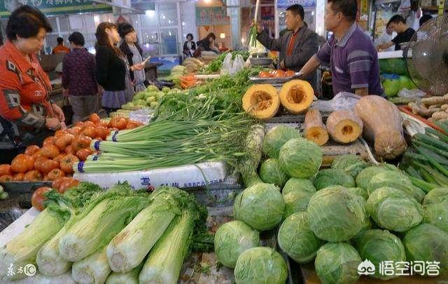 农村老话“千里不贩青，贩青不贩葱”是什么意思？