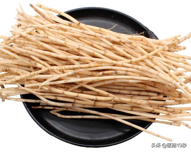 茅草根有什么功效？