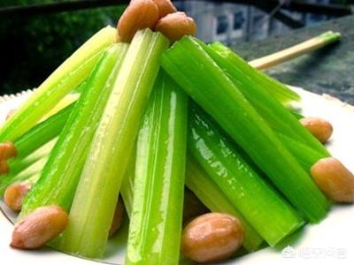 芹菜怎么种植？