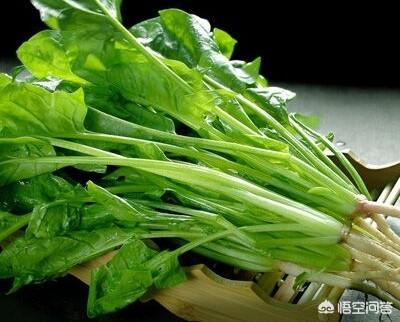 秋天拔了花生后，适合直接在地里种菠菜吗？