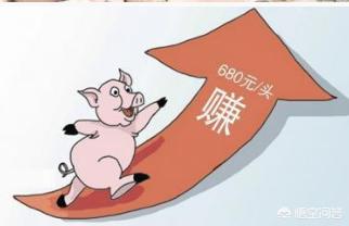 現(xiàn)在的豬價(jià)怎么樣？走勢(shì)如何？