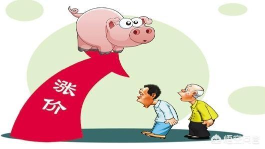現(xiàn)在的豬價(jià)怎么樣？走勢(shì)如何？