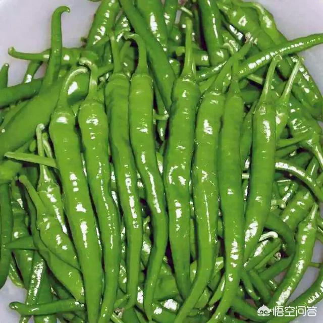 辣椒斑点病如何防治？