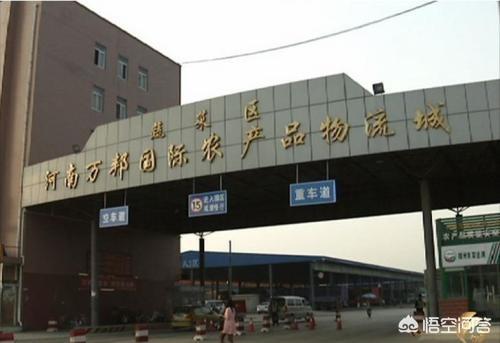 哪里的平菇銷量大？
