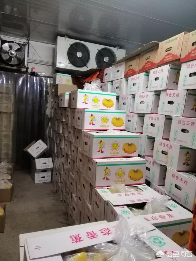 想開一家水果店，如何找貨源？