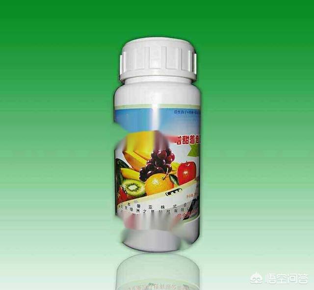 給臍橙柑橘噴施增甜劑葉面肥是否違規(guī)？增甜劑會對人體健康有什么影響？