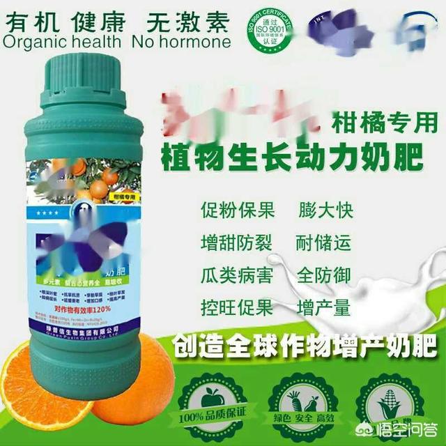 給臍橙柑橘噴施增甜劑葉面肥是否違規(guī)？增甜劑會對人體健康有什么影響？