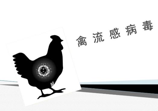 如何做好禽流感预防工作?禽流感的症状是什么