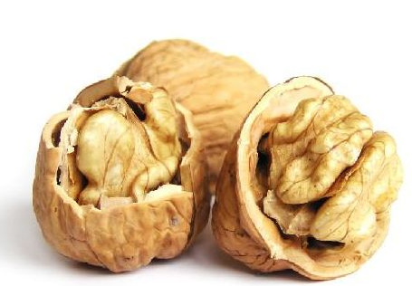 中药核桃皮的功效与作用