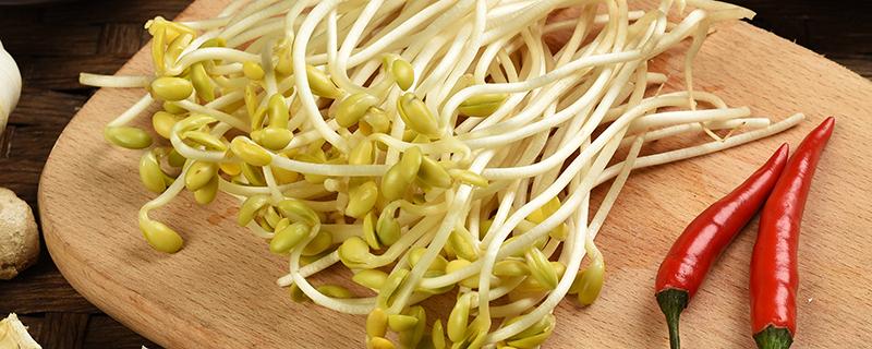 黄豆芽放久了有毒吗 豆芽没煮熟吃了会有什么症状