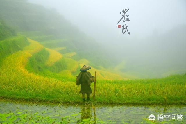 如果每年给农村老人一次免费出国旅游的机会，他们会去吗？