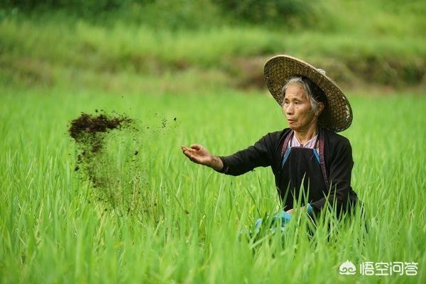 如果每年给农村老人一次免费出国旅游的机会，他们会去吗？
