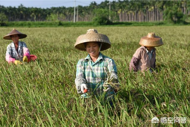 如果每年给农村老人一次免费出国旅游的机会，他们会去吗？