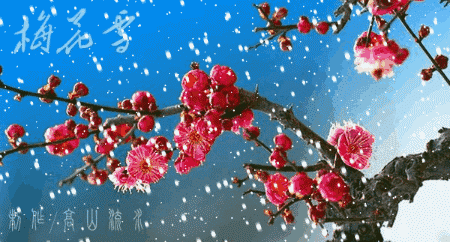 上联：红梅点点绣千山；求上联？