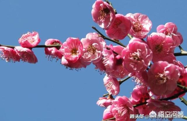 如果让你用有文采的句子去“骂人”,你会怎么“骂”呢?