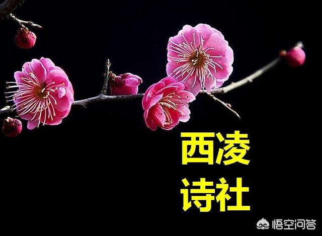 漂亮和性感是一回事嗎？