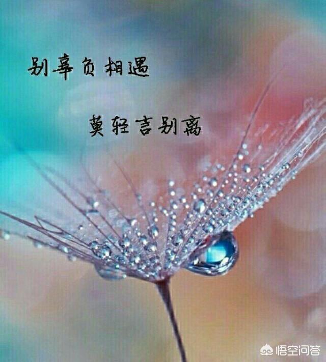 原创藏头诗“缘分已枯，情为何物”，怎么写？