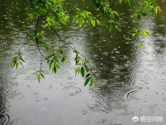 如何用 “望穿秋水”作一藏頭小詩？
