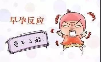 武汉仁爱医院计划生育专业:刚怀孕都有什么反应?若中三个以上,说明你怀孕了!