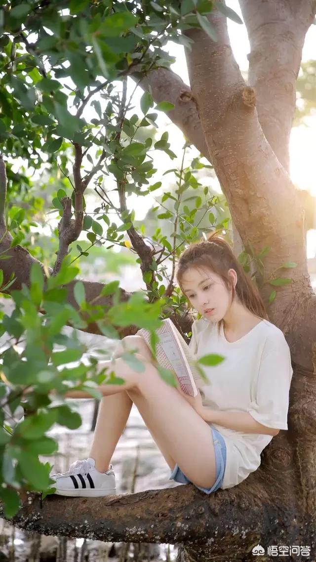 上联：草中草，草中花儿争先后。下联是什么？