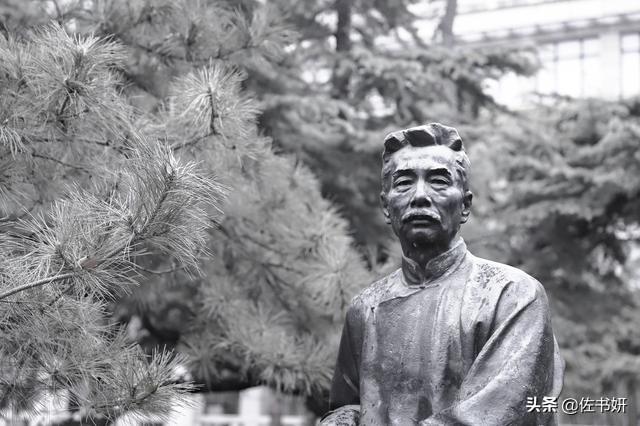 如何理解鲁迅《秋夜》里诸如“枣树”、“天空”等意象的象征意义和全诗的语言特色？