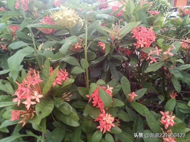 政治文化，儒家思想，孔孟之道真的只是统治者的工具吗？