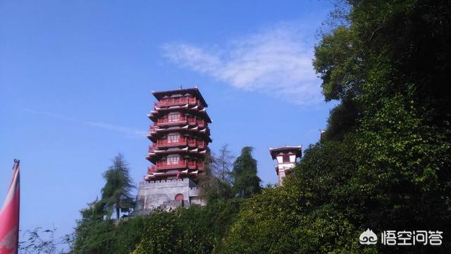 科学观察与文学观察、艺术观察有什么不同？