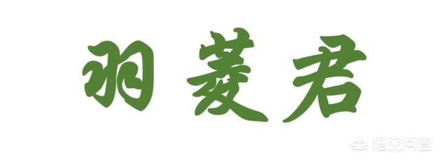 《倚天屠龙记》中，明教第三十二代教主石教主有怎样的经历和故事？