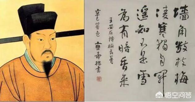 宋代名臣王安石为何一直和苏东坡过不去？