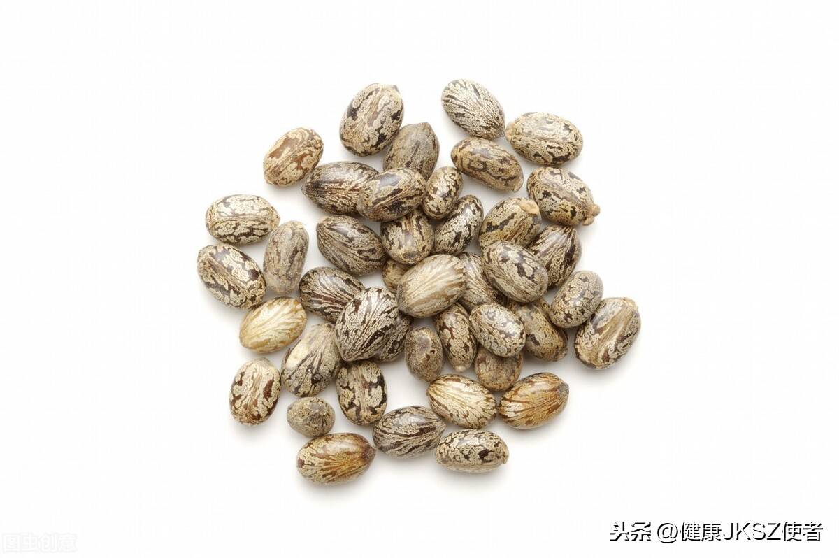 “巴豆”的功效及其應用 巴豆的功效