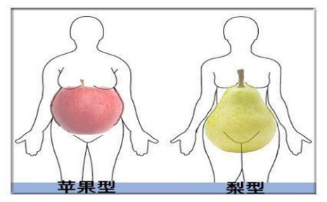 苹果型身材有哪些危害?