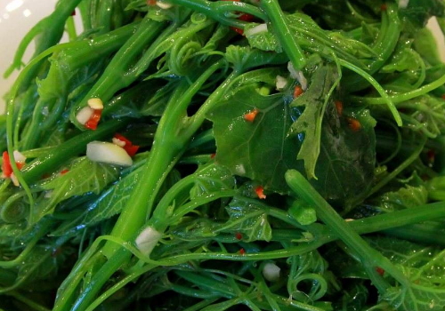 龙须菜是什么菜 功效与作用有哪些