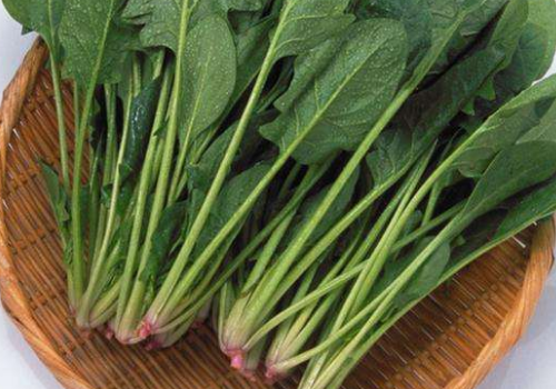 菠菜根有營(yíng)養(yǎng)嗎 吃了有什么好處