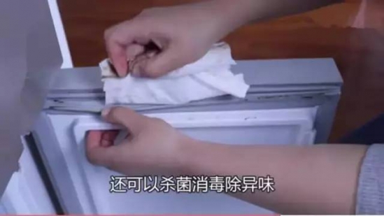 冰箱胶条发霉怎么洗 发霉有异味怎么办