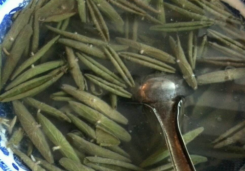 莼菜怎么清洗 怎么涼拌