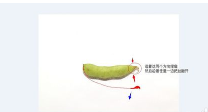 快速剥毛豆的方法 怎样快速去皮