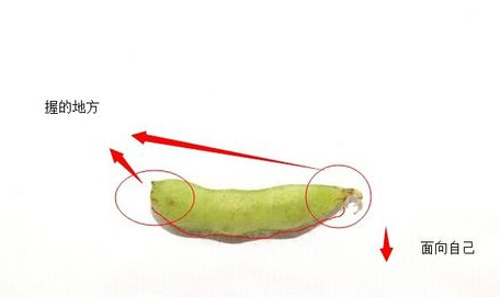 快速剥毛豆的方法 怎样快速去皮