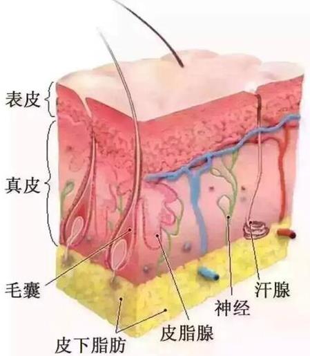 慈溪悦尔医美专业吗，脱发万能大杀器——FUE植发了解一下