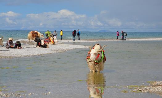 高原反应头疼的应对方法 去西藏旅游