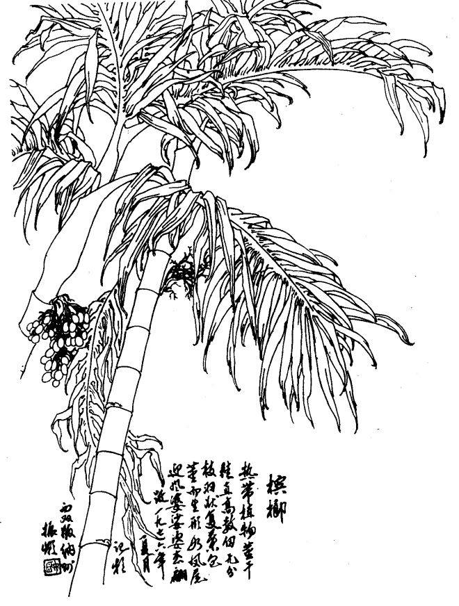 如何发现身边的美 发现身边的美