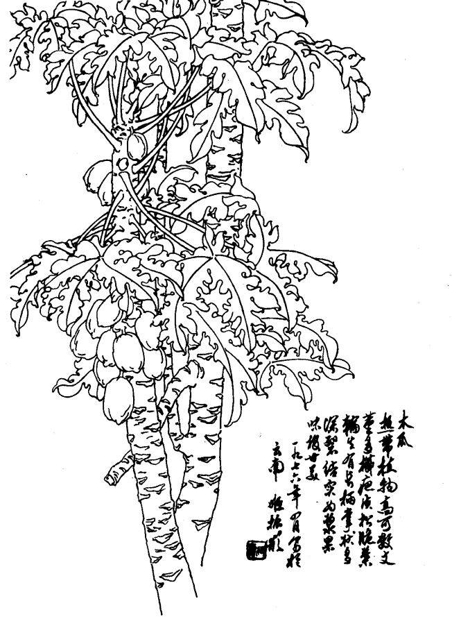 如何发现身边的美 发现身边的美