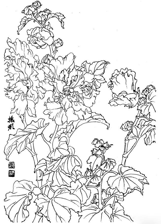 如何发现身边的美 发现身边的美